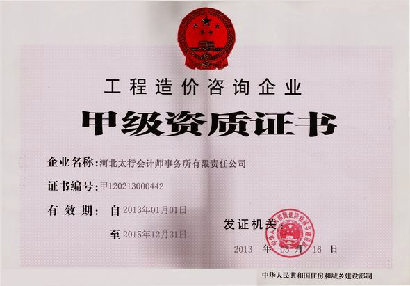 点击图片查看详情 收入证明_造价咨询收入(3)